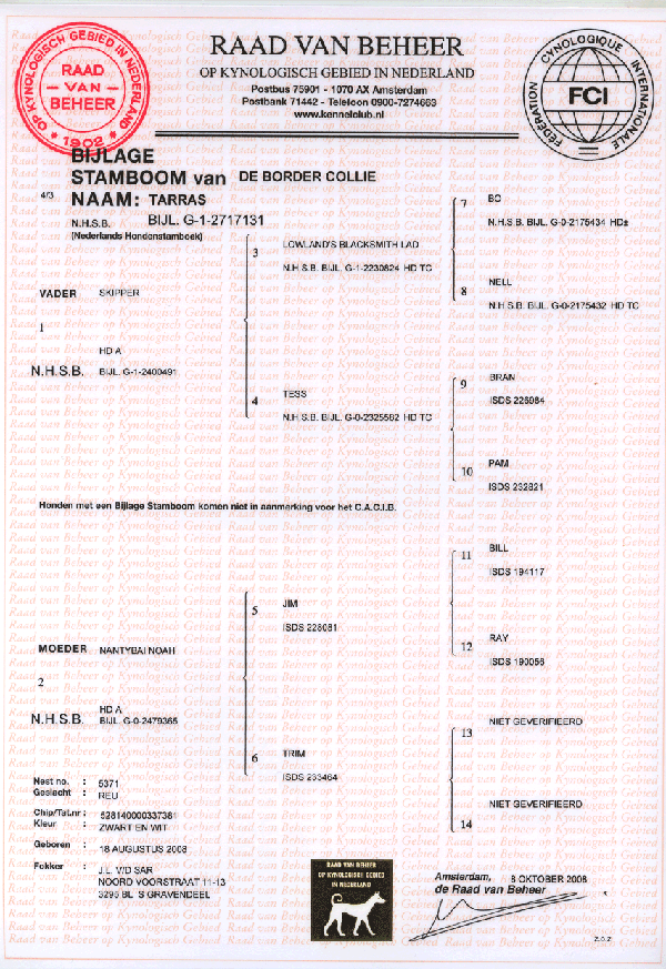 border-collie-stamboom-lad