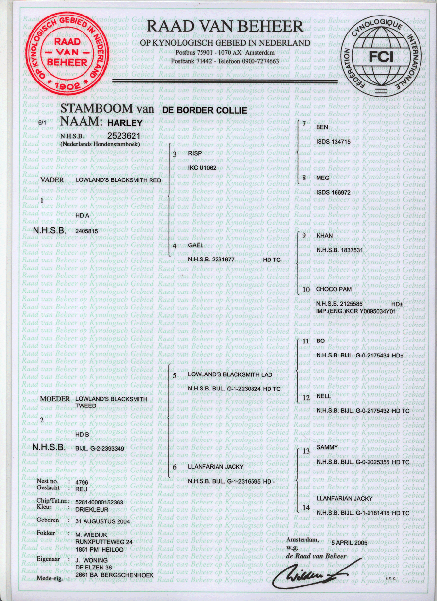 stamboompacksnl